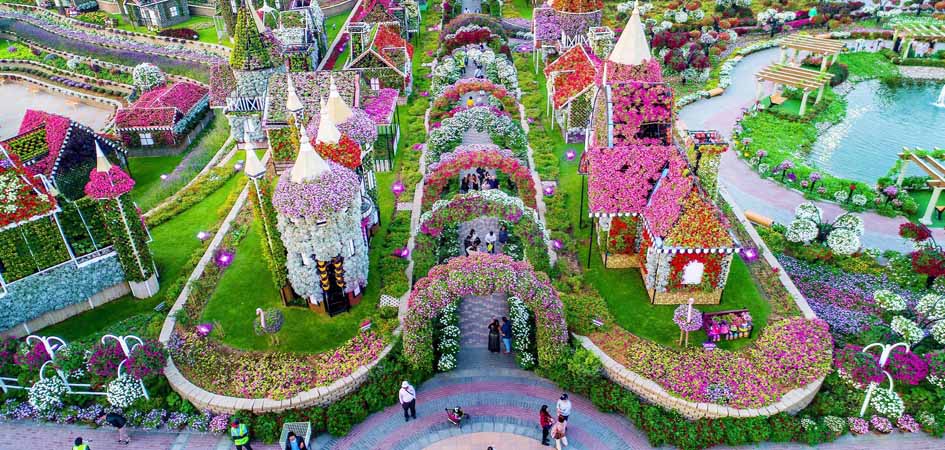 Wallpaper ID: 847956 / emirates, dubai miracle garden, heart, plant,  flower, multi colored, fragility, no people, heart shape, colorful,  outdoors, wanderlust, flowering plant free download